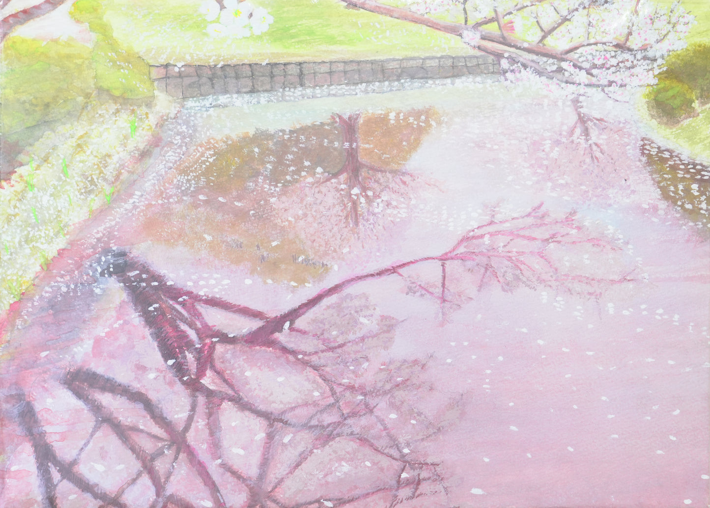 水の桜