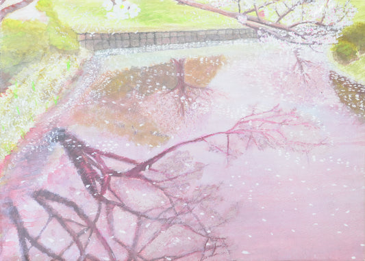 水の桜